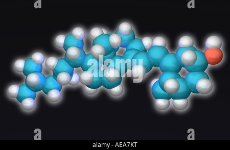 Generata al computer modello molecolare della vitamina D3 con gli atomi di carbonio illustrati in blu idrogeni in bianco e ossigeno in rosso Foto Stock