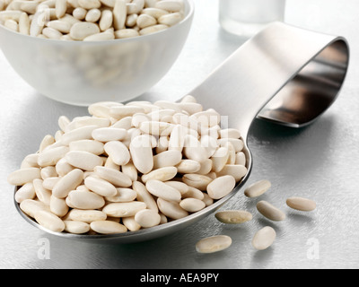 Cucchiaio di fagioli ALUBIA o fagioli cannellini Foto Stock