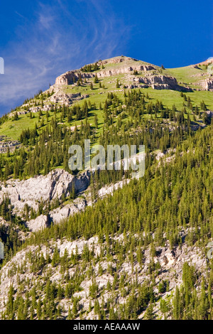 Formazione geologica e prati di montagna al Lago Minnewanka, il Parco Nazionale di Banff, Canada Foto Stock