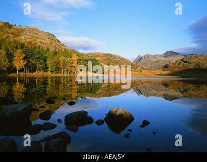 Autunno riflessioni in Blea Tarn, Little Langdale, Lake District, REGNO UNITO Foto Stock