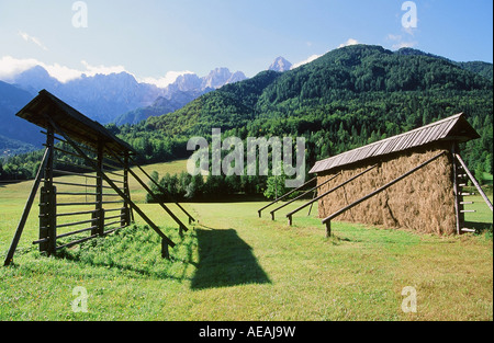 Il fieno rack di asciugatura nel Parco Nazionale del Triglav, Slovenia Foto Stock