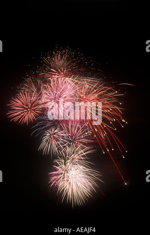 Fuochi d'artificio che esplodono nel cielo di notte Foto Stock