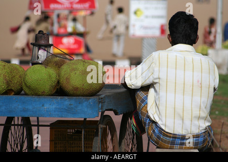 Un uomo di vendita frutta Durian guarda nella distanza alla spiaggia di Marina di Chennai, India Foto Stock