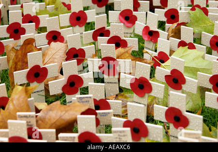 Attraversa la Royal British Legion Field di ricordo presso ST MARGARET S CHIESA WESTMINSTER LONDON Foto Stock