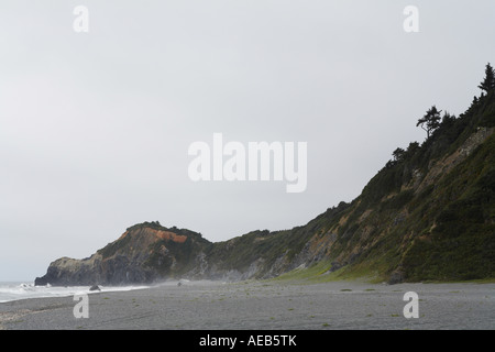 Coastal Cliffside in Redwoods nazionali e i parchi statali della California del Nord STATI UNITI D'AMERICA Foto Stock