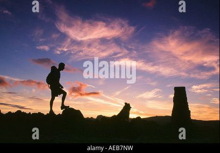 Una cadde walker e cane sul vertice di Loughrigg nel distretto del lago, REGNO UNITO Foto Stock