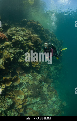 Un subacqueo esplora una laguna interna Coral reef nella Repubblica del Palau Questa area contiene una ricchezza di biodiversità. Foto Stock