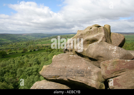 Il Brimham Rocks - formazioni rocciose si trova su Brimham Moor nello Yorkshire settentrionale del parco nazionale Foto Stock