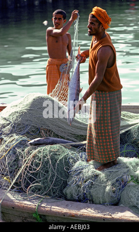 I pescatori tirando in reti di raccogliere le loro catture di pesce Foto Stock