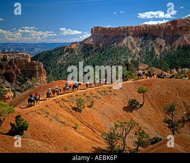USA Utah Bryce Canyon National Park trekking a cavallo in anfiteatro Foto Stock