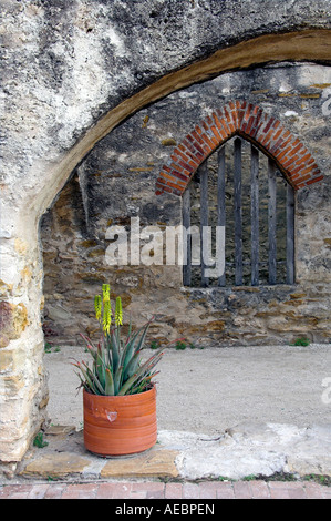 Archi presso la storica missione di San Jose, San Miguel de Aguayo in San Antonio Texas USA Foto Stock