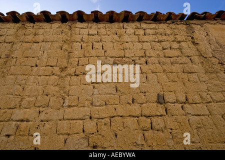 Fango parete in mattoni, in Billom (Francia). Mur en pisé, à Billom (Puy de Dôme 63 - Francia). Foto Stock