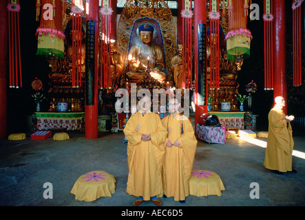 I monaci buddisti in color zafferano accappatoi presso il Tempio Buddista in Huating Kunming Cina Foto Stock