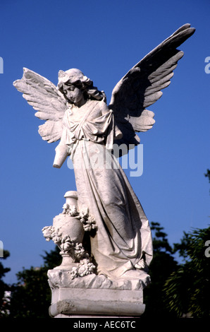 Il cimitero di Colon o più completamente in lingua spagnola Cementerio de Cristóbal Colón fu fondata nel 1876 Foto Stock