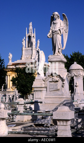 Il cimitero di Colon o più completamente in lingua spagnola Cementerio de Cristóbal Colón fu fondata nel 1876 Foto Stock