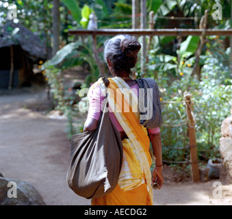 Una vecchia signora vestita di saree passeggiate dopo la richiesta di armi, Kerala, India Foto Stock