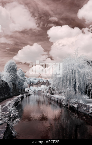 Visualizza in basso un piccolo ruscello, Bakewell, Derbyshire, Regno Unito #01 Foto Stock