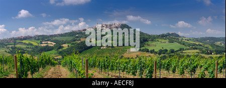 Panorama of rows of grape vines at vineyard and hilltop city of Todi in Umbria Italy Foto Stock