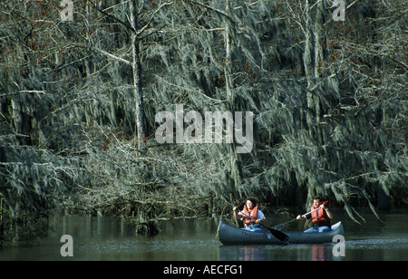 Canoa al laghetto del mulino, cipresso calvo alberi, inverno, Caddo Lake State Park, Texas, Stati Uniti d'America Foto Stock