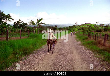 Un uomo enuncia lungo una strada in zona collinare in Chiapas regione del Messico il trasporto della legna sul retro della sua bicicletta Foto Stock