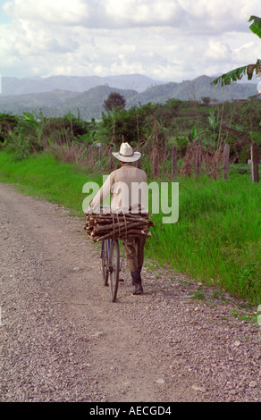 Un uomo enuncia lungo una strada in zona collinare in Chiapas regione del Messico il trasporto della legna sul retro della sua bicicletta Foto Stock