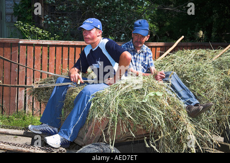 Gli agricoltori che viaggiano sul cavallo e carrello, Moldovita, Bucovina, Moldavia, Romania Foto Stock