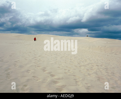 Le dune di sabbia del Råbjerg Mile,Vendsyssel, nord Jylland (Jutland), Danimarca. Foto Stock