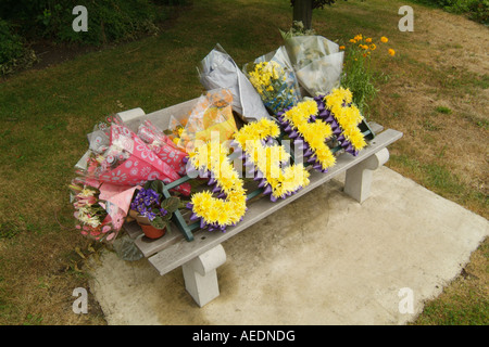 Omaggi floreali collocato su un banco di cemento lungo la strada dove un uomo chiamato Jeff è stato ucciso in un incidente Foto Stock