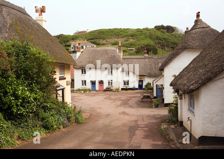 Regno Unito Devon speranza interno cottage con il tetto di paglia nella piazza del villaggio Foto Stock