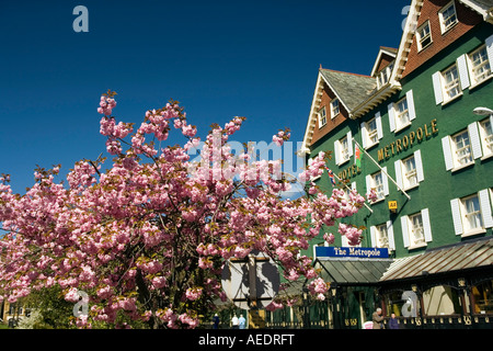 Regno Unito Galles Powys Llandrindod Wells strada Tempio di ciliegio in fiore al di fuori dell Hotel Metropole Foto Stock