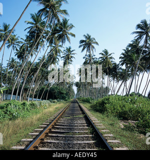 Linea ferroviaria Bentota Sri Lanka asia Foto Stock