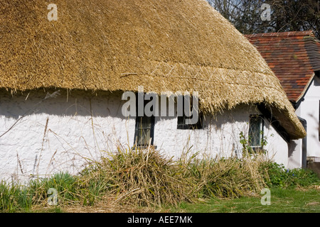 Tetto di Paglia del cottage in fase di rinnovo Foto Stock