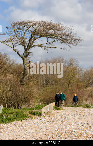 Struttura spazzate dal vento e Walkers sul sentiero costiero Foto Stock