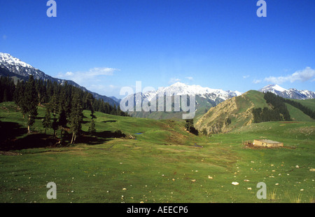 Vista delle montagne Tian Shan in Cina occidentale. Tian Shan significa montagne celeste . Foto Stock