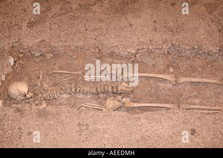 Scheletro umano nel sepolcro scavato a Palazzo Romano di Fishbourne, West Sussex, in Inghilterra Foto Stock