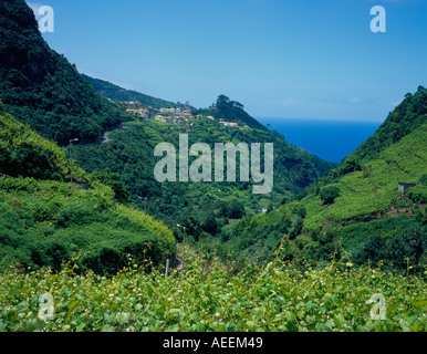 Boaventura nella valle tra Ponta Delgada e Arco de Sao Jorge, Madeira, Portogallo, dell'Europa. Foto di Willy Matheisl Foto Stock