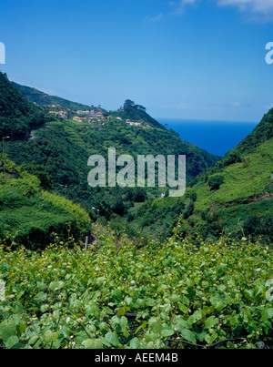 Villaggio di Boaventura nella valle tra Ponta Delgada e Arco de Sao Jorge Madeira Portogallo Europa. Foto di Willy Matheisl Foto Stock