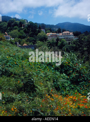 Monte Funchal Madeira Portogallo Europa. Foto di Willy Matheisl Foto Stock