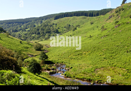 Abergwesyn comune una valle remota nel Galles centrale POWYS REGNO UNITO UE di proprietà del National Trust Foto Stock