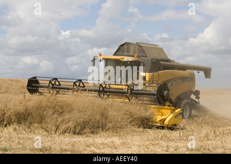 Combinare la raccolta nel villaggio di Stanton Costwolds REGNO UNITO Foto Stock