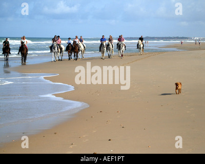 Gruppo a cavallo sulla spiaggia di Barossa vicino a Chiclana de la frontera Costa de la luz Spagna Foto Stock