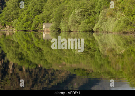 Boat House riflessioni sulla Llyn Dinas vicino Beddgelert Snowdonia North West Wales Foto Stock