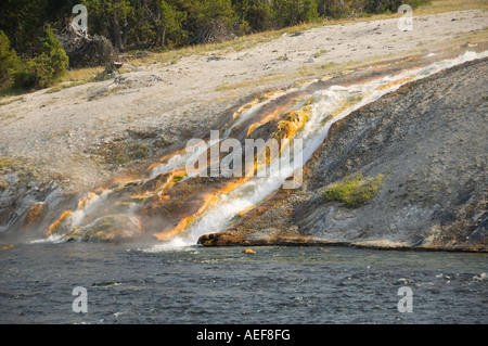 Mammoth Hot Sprint, il Parco Nazionale di Yellowstone Foto Stock