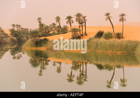 Oum al Ma oasis Ubari erg regione Sahara Libia Foto Stock