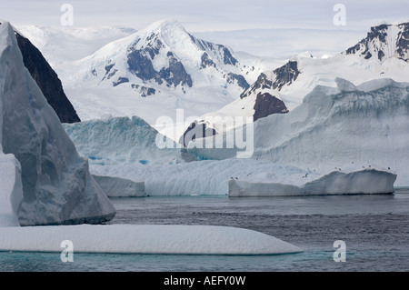 Iceberg lungo la western penisola antartica Antartide Oceano Meridionale Foto Stock