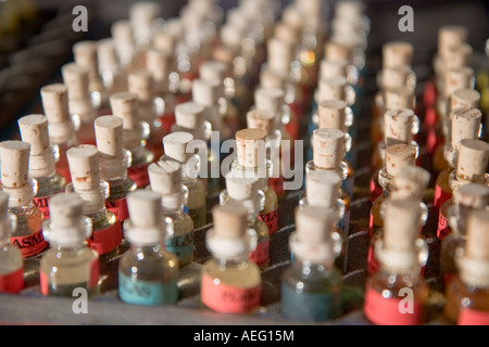 Numerose piccole essenza bottiglie con tappo Foto Stock