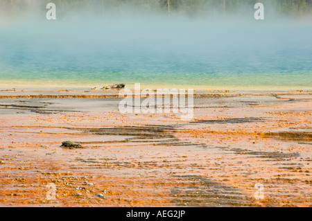 Mammoth Hot Sprint, il Parco Nazionale di Yellowstone Foto Stock