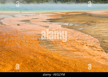 Mammoth Hot Sprint, il Parco Nazionale di Yellowstone Foto Stock