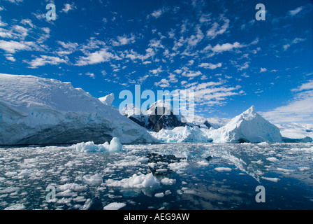 Glacier lungo la western penisola antartica Antartide Oceano Meridionale Foto Stock