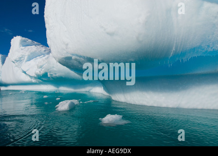 Gocciolamento di acqua da un iceberg di fusione occidentale della penisola antartica Antartide Oceano Meridionale Foto Stock